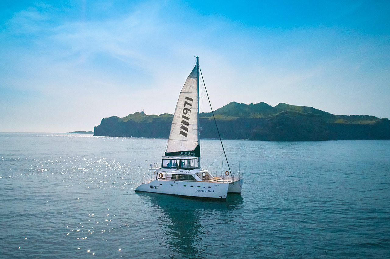 돌고래 에코투어