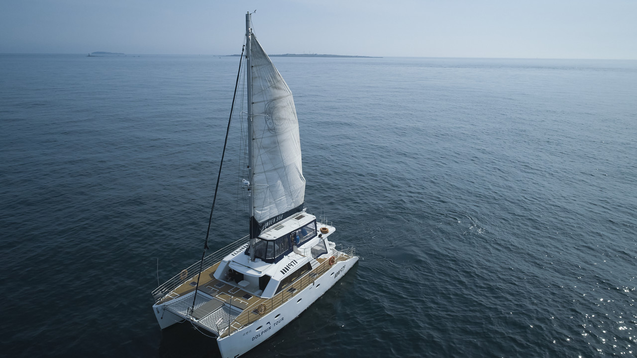 라벤더 (Lavender)